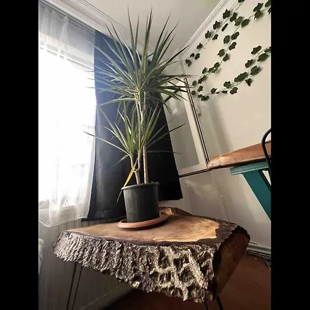 Apartmán Kaan's