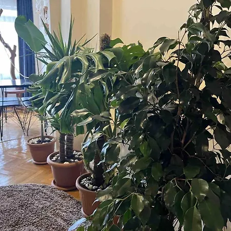 Kaan's Appartement Istambul