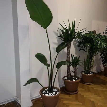 Apartamento Kaan's Istambul